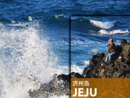 济州岛旅游攻略(济州岛旅游攻略必去景点推荐)