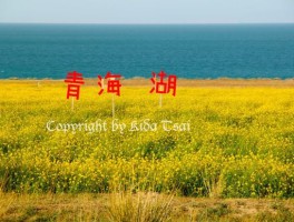 各种拍照技巧教你拍出时尚大片美景的照片(各种拍照技巧教你拍出时尚大片美景的照片英语)