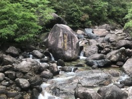 自驾车黄山旅行视频(自驾车黄山旅行视频播放)