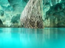 把世界美景装进糖果盒里(把世界美景装进糖果盒里的英文)