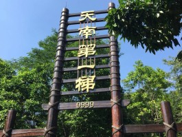 广州附近有什么好玩的地方推荐(广州附近有什么好玩的地方推荐一下)