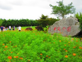 上海世纪公园(上海世纪公园有什么好玩的)