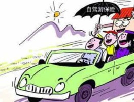 自驾游旅行意外保险(短期自驾旅游保险意外险)