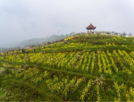 永新景点(永新景点排行榜)