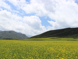 旅行风光拍照技巧视频教程(旅行风光拍照技巧视频教程全集)