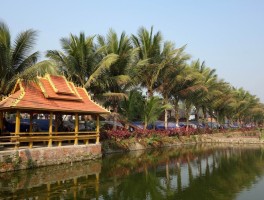 西双版纳旅游日记(西双版纳旅游日记英文)