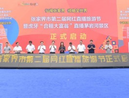 旅游直播的活动过程记录(旅游直播的现状和发展趋势)