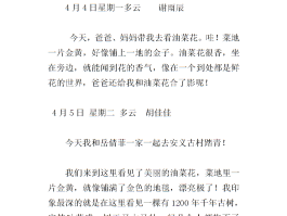 旅游标语日记(旅游标语日记100字)