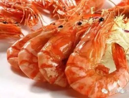 海阳旅游美食攻略(海阳美食有什么介绍给大家)