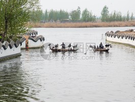 白洋淀旅游日记(白洋淀旅游记作文)