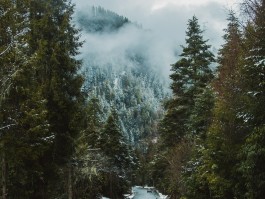 关于自驾旅行的文章(关于自驾旅行的文章题目)