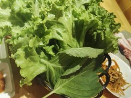 关于烧烤店生菜品种大全图片的信息