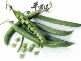 豌豆的营养价值(豌豆的营养价值及功效及禁忌)