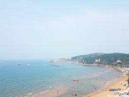 西中岛(西中岛简介)