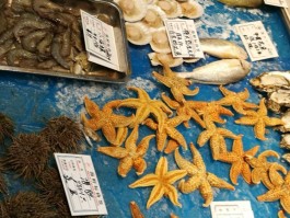 青岛市青岛云霄路美食街旅游攻略(青岛云霄路美食街和台东步行街哪里正宗)