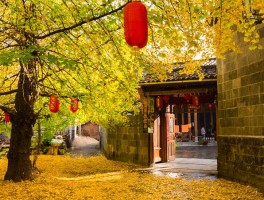 腾冲旅游记录片(腾冲 游记)