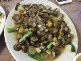 广东惠州旅游及美食攻略(广东惠州旅游必去十大景点)