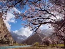 新疆结婚旅行最值得去的地方有哪些(新疆结婚旅行最值得去的地方有哪些景点)