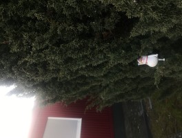 包含豆米咖环球旅行连载的词条