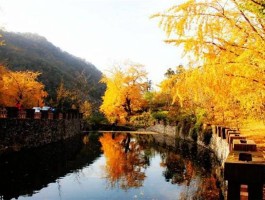 武汉周边游(武汉周边游玩景点排名)