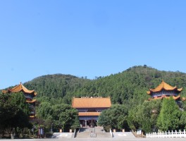 江夏一日游必去景点(江夏一日游必去景点攻略图)