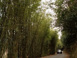旅游区拍照技巧与角度图片大全(旅游区拍照技巧与角度图片大全高清)