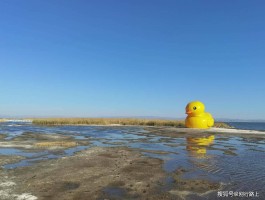 岱海旅游日记(游岱海400字)