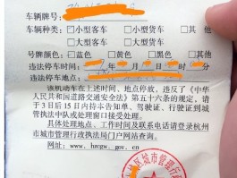 澳洲旅行自驾车罚单(澳洲旅行自驾车罚单怎么交)