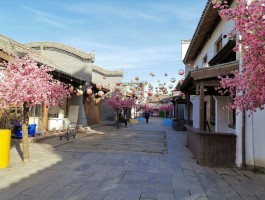 白鹿仓(白鹿仓景区门票多少钱)