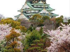 日本旅游拒关后签证上会有记录吗(日本旅游拒关后签证上会有记录吗怎么查)