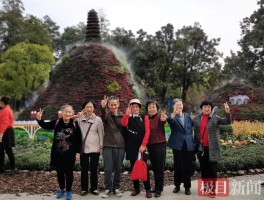 老年人旅行拍照姿势技巧视频大全集(老年人旅行拍照姿势技巧视频大全集最新)
