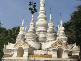 西双版纳旅游景点(西双版纳旅游景点排名前十)