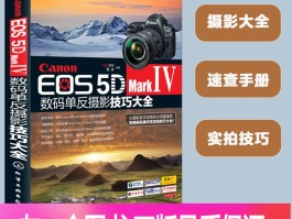 单反摄影技巧(单反摄影技巧入门篇)