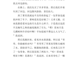 两百字一篇旅游日记大全(两百字一篇旅游日记大全四年级)