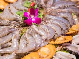 烧烤海鲜都有哪些品种(烧烤烤海鲜有哪些可以烤)