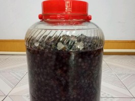 葡萄酒的做法视频(葡萄酒的做法自酿全过程视频教学)