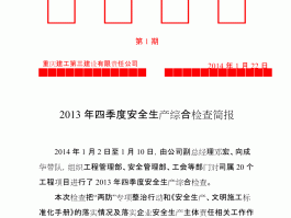 2023年春节前文化和旅游局安全检查简报的简单介绍