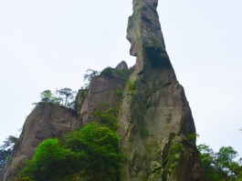 三清山好玩吗(三清山有什么好玩的景点)