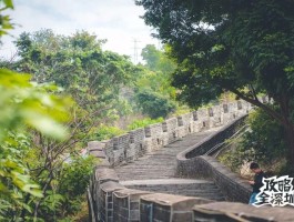 深圳元旦去哪里旅游好玩(深圳元旦去哪里旅游好玩呢)