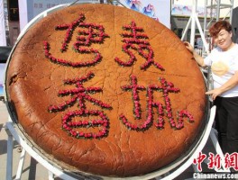 卓资山熏鸡美食旅游节(卓资山熏鸡哪家正宗地址)