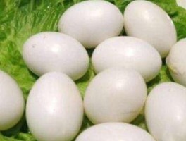 包含鸽子蛋的做法的词条