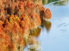 十一月份适合去哪里旅游(十一月份适合去哪里旅游国内)