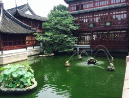 豫园门票(豫园要门票吗?)