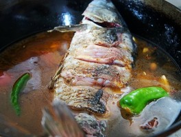鲤鱼的做法大全家常(鲤鱼的做法大全家常炖鱼)