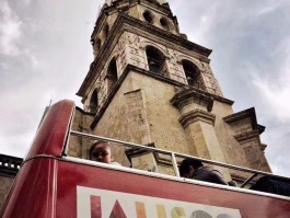 环球旅行的日记(环球旅行的日记300字)