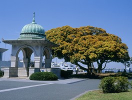 日本本州(日本本州岛有哪些城市)