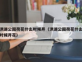 洪湖公园荷花什么时候开（洪湖公园荷花什么时候开花）