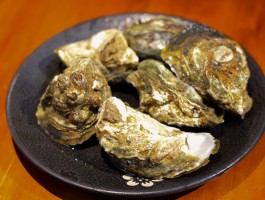 生蚝烧烤哪种品种好吃(生蚝烧烤哪种品种好吃又营养)