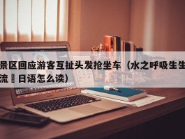 景区回应游客互扯头发抢坐车（水之呼吸生生流転日语怎么读）