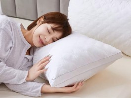 枕头品牌排行榜前十名(荞麦枕头品牌排行榜前十名)